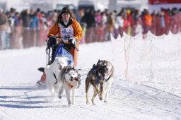 Lenk 2013